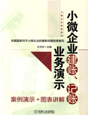 小微企业建账、记账业务演示