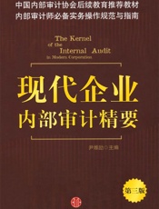 现代企业内部审计精要