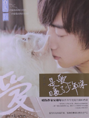 是爱暖了少年凉