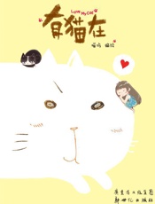 有猫在