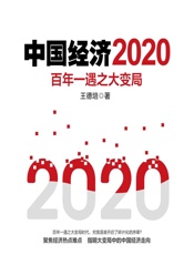 中国经济2020——百年一遇之大变局 - 王德培