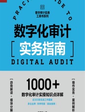 数字化审计实务指南 - 程广华