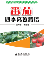 番茄四季高效栽培