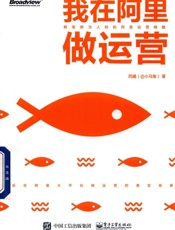 我在阿里做运营 - 芮曦（@小马鱼）著