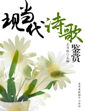 现当代诗歌鉴赏