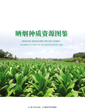 晒烟种质资源图鉴