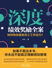 深度绩效奖励全案