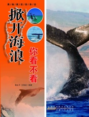 掀开海浪你看不看
