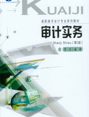 审计实务 - 罗杰