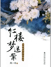 红楼梦迷案_悬疑推理版红楼梦 - 风一中