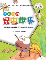 神秘猎人狼蛛和天才纺织家圆网蛛