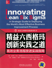 精益六西格玛创新实践之道——高效业务流程改进实战指南