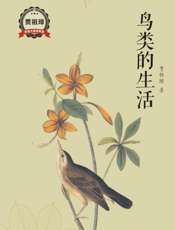 鸟类的生活