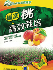 棚室桃高效栽培