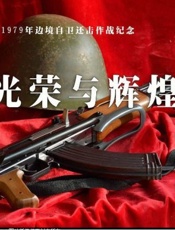 对越自卫反击战背景资料