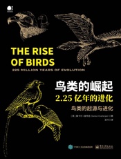 鸟类的崛起：2.25亿年的进化
