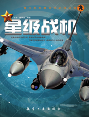 星级战机