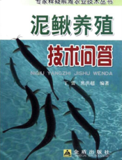 泥鳅养殖技术问答