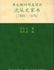 沈从文家书 - 沈从文