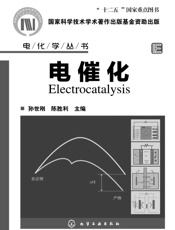 电化学丛书_电催化
