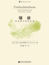 镶嵌_社会网与经济行动