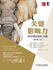 关键影响力：如何调动团队力量