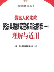 最高人民法院民法典婚姻家庭编司法解释（一）理解与适用 - 最高人民法院民事审判第一庭