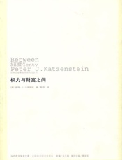 权力与财富之间 - 彼得·J.卡岑斯坦 编