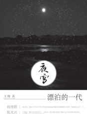 夜雪 - 王翔