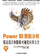 PowerBI数据分析：报表设计和数据可视化应用大全