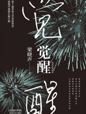 觉醒（2020年精装版）