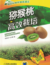 猕猴桃高效栽培