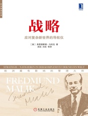 战略：应对复杂新世界的导航仪