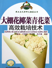 大棚花椰菜青花菜高效栽培技术