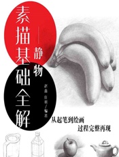 素描基础全解——静物 - 赵鑫,任琪