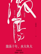 激荡十年，水大鱼大——中国企业2008-2018 - 吴晓波