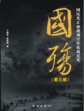 国殇_国民党正面战场空军抗战纪实