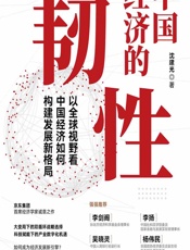 中国经济的韧性 - 沈建光