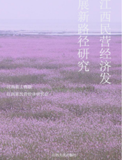 江西民营经济发展新路径研究