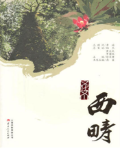 文化文山——西畴