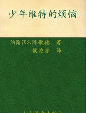 少年维特的烦恼 (译文名著精选) - J.W.歌德(J.W.Goethe)