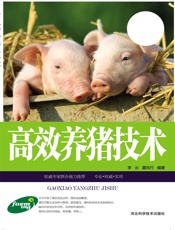 高效养猪技术