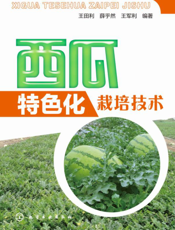 西瓜特色化栽培技术