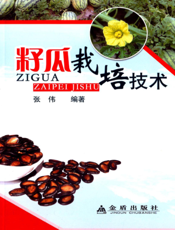 籽瓜栽培技术