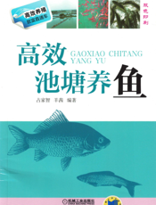 高效池塘养鱼
