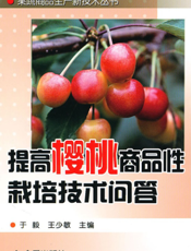 提高樱桃商品性栽培技术问答
