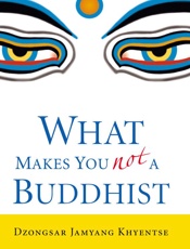 What Makes You Not a Buddhist - Dzongsar Jamyang Khyentse