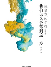 被颠覆的文明：我们怎么会落到这一步（升级版） - 边芹