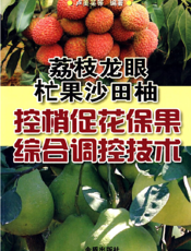 荔枝龙眼杧果沙田柚控梢促花保果综合调控技术