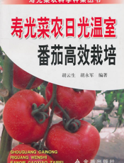 寿光菜农日光温室番茄高效栽培